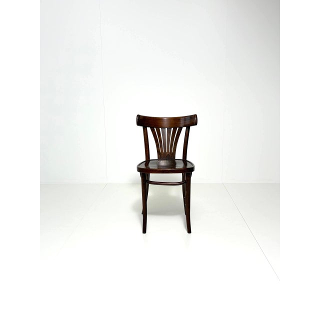 Vintage Bentwood Fan Chairs from ZPM Radomsko, Poland, 1970s For Sale - Image 6 of 18