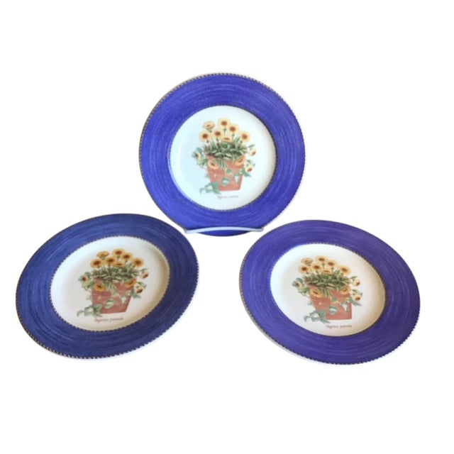 Wedgwood Vintage 1997 Mixed Wedgwood Sarahs Garden Queens Ware England Salad Plates - Set of 7 For Sale - Image 4 of 7