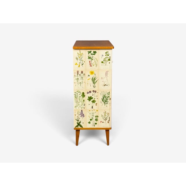 Swedish Modern, Nordens Flora Cabinet, Birch, Floral Lithographs, Sweden, 1940s For Sale - Image 10 of 13