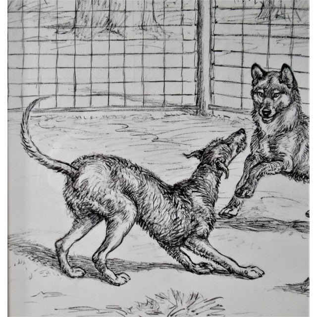 Margaret Sweet Johnson, Two Dogs Playing in Front of a Fence, Circa 1930 For Sale - Image 4 of 5