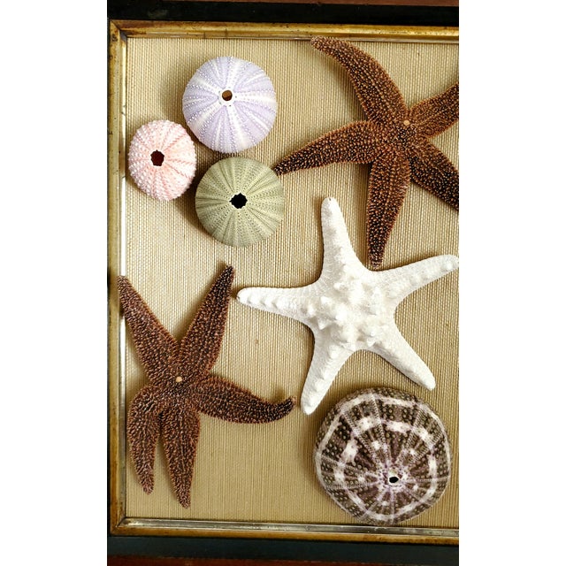 Box Pair Coastal For Sale - Image 11 of 14