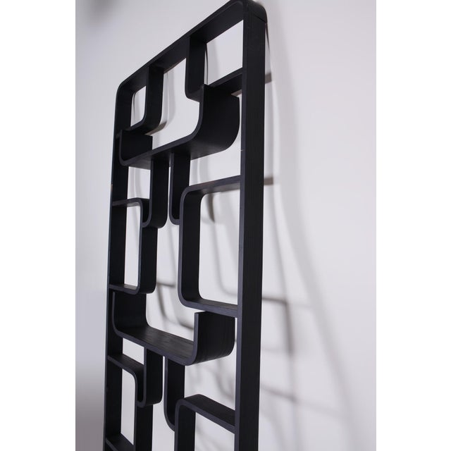 Vintage Room Divider by L. Volak for Drevopodnik Holesov, 1960s For Sale - Image 12 of 15