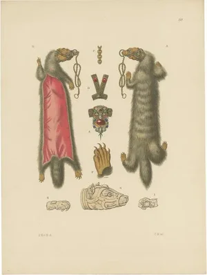 Hefner-Alteneck, Illustration of Ladies' Jewelry with Fur of a Marten, 1890, Print
