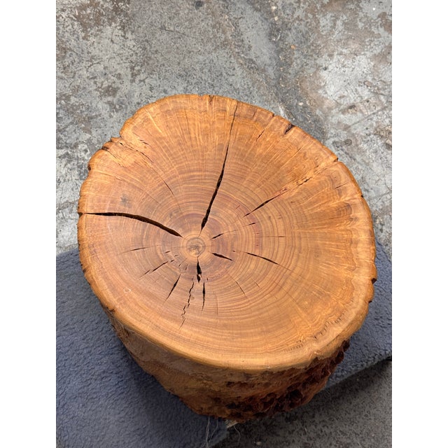 Organic Modern Live Edge Tree Side Table/Stool For Sale - Image 11 of 12