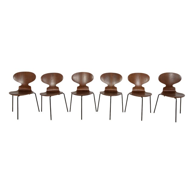 Ant Chairs Model 3101 in Teak by Arne Jacobsen for Fritz Hansen, Denmark, 1970s, Set of 6 For Sale