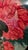 Mikulas Kravjansky “Flowers of the Orient” Signed Limited Edition Collograph Prints, Pair For Sale - Image 13 of 18