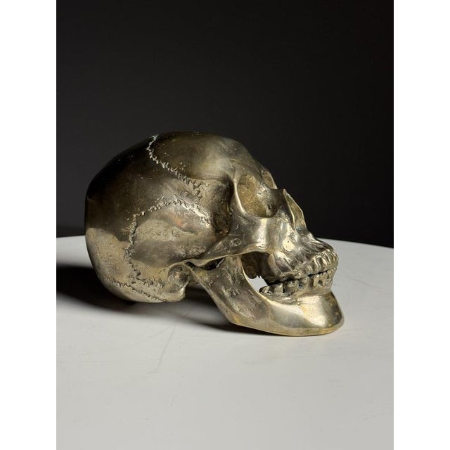 Early 20th Century Bronze Skull For Sale - Image 5 of 14