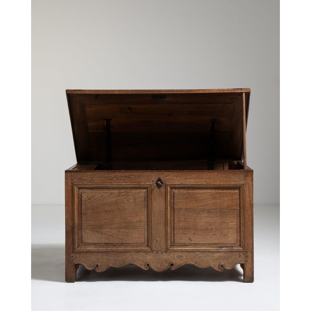 French Carved Oak Trunk France 19th Century For Sale - Image 10 of 12