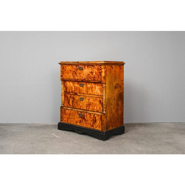 Biedermeier Chest of Drawers For Sale - Image 6 of 18