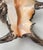 Seashell Shell Silvered For Sale - Image 11 of 12