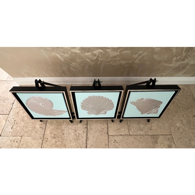 2020s Framed Mint & Silver Seashell Collection, Designed by Cheryl P. Kohloff - Set of 3 For Sale - Image 5 of 7