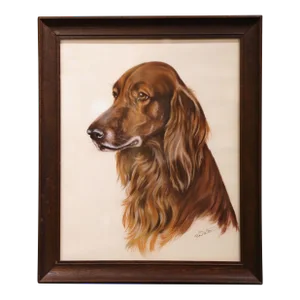 19th Century English Framed Pastel Drawing of Irish Setter Signed F. Watz