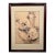1974 Original Watercolor & Ink Australian Koala Bears Signed & Framed Painting For Sale