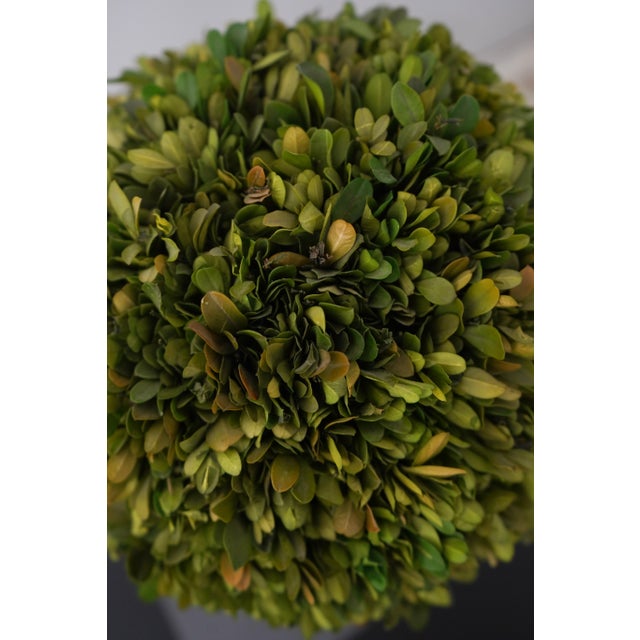 Wood Pair of Wildwood Accents Topiary Urns For Sale - Image 7 of 9