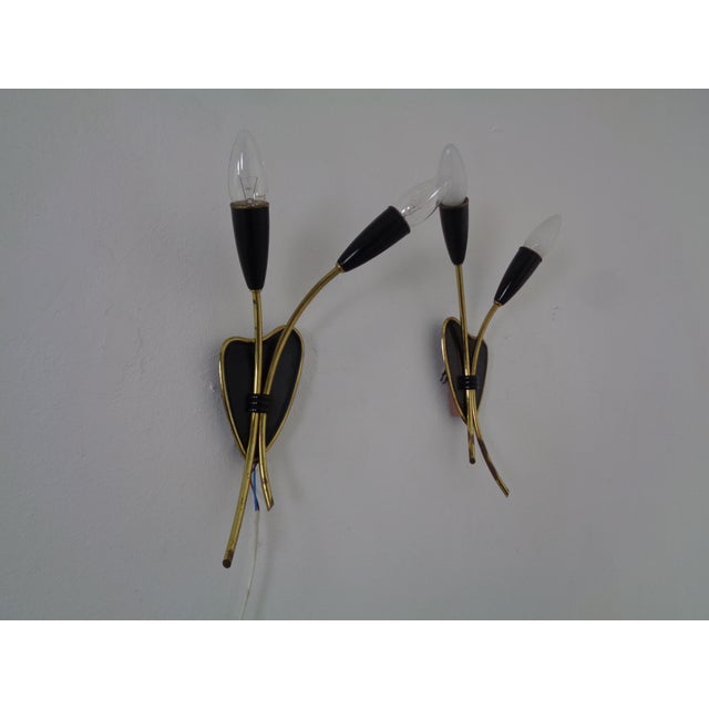 Mid-Century Modern Mid-Century Modern German Wall Lamps, 1950s, Set of 2 For Sale - Image 3 of 18