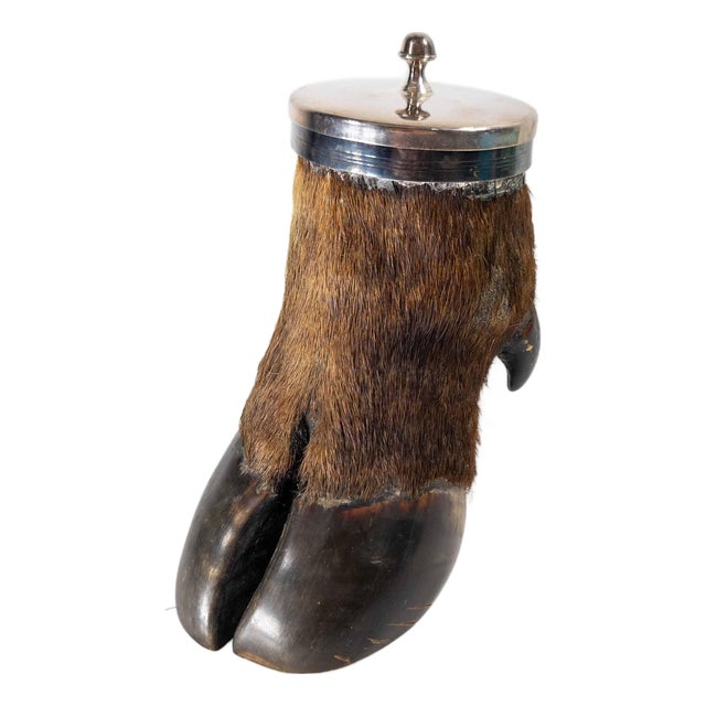19th Century Victorian Taxidermy Moose Hoof Knuckle Box or Ashtray For Sale