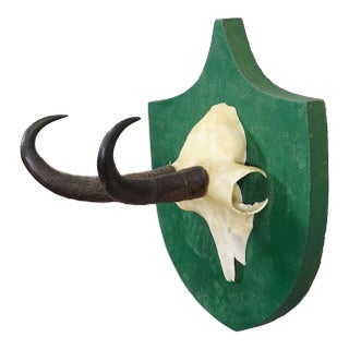 Antique Black Forest Chamois Trophy on Green Plaque - Salem Germany 1900 For Sale