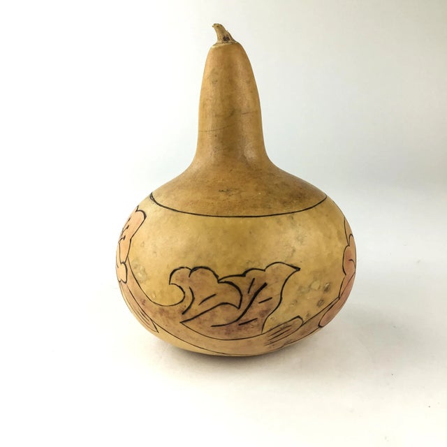 A fun conversation piece which is great when there are kids around. These decorative gourds have been used in decorating...