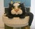 "Cat in the Sink" Comic And Curious Cats Linda Jane Smith Vintage 2002 Excellent vintage condition. No chips, damage. It...
