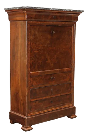 19th Century Secretary in Walnut, France