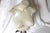 Mid-Century Modern Midcentury White Mannequin Female Bust For Sale - Image 3 of 10