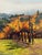 Mediterranean June Carey Fall Vineyard Limited Edition Giclée, Signed For Sale - Image 3 of 14
