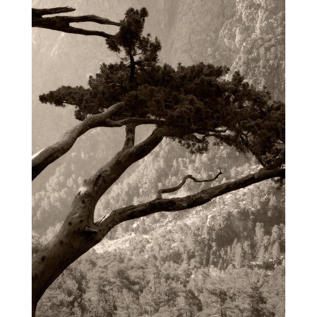 Samaria Gorge' Crete, Greece 2022 from limited edition of 20. The photograph is signed front bottom right corner and comes...