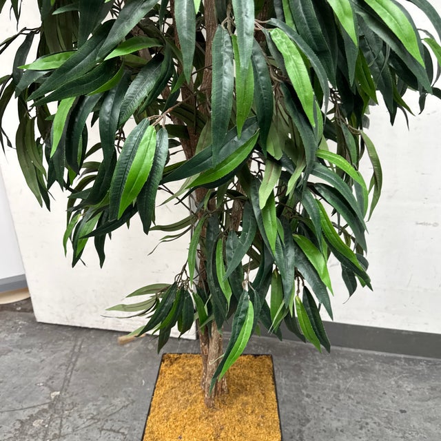 Faux Mango Tree + Tapered Black Planter For Sale - Image 12 of 12