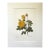 Vintage Pierre-Josephe Redouté Print in 14x18 Mat - Yellow Rose of Sulfur For Sale