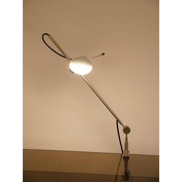 1950s Model 255 Clamp Table Light by Tito Agnoli for O-Luce, 1954 For Sale - Image 5 of 9