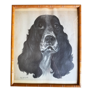Mid 20th Century Ray De Santis Sporting Dog Portrait, English Cocker Spaniel in Bamboo Frame