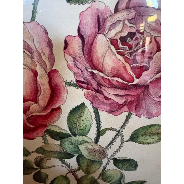 Sculpture Materials A Hand Colored Engraving of Pink Roses For Sale - Image 7 of 15