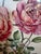 Sculpture Materials A Hand Colored Engraving of Pink Roses For Sale - Image 7 of 15