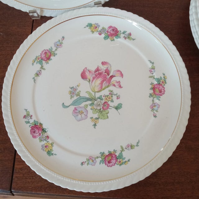 Royal Vellum floral dinner plates with a bead and rope rim with gold trim on bone china. Bring romance to you table with...