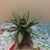 Boho Chic Vintage Tropical Brass Pineapple Candle Holder With Verdigris Patina For Sale - Image 3 of 5