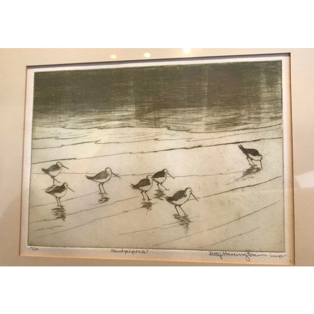 Greyscale intaglio print of piping plovers walking in a group along the beach.