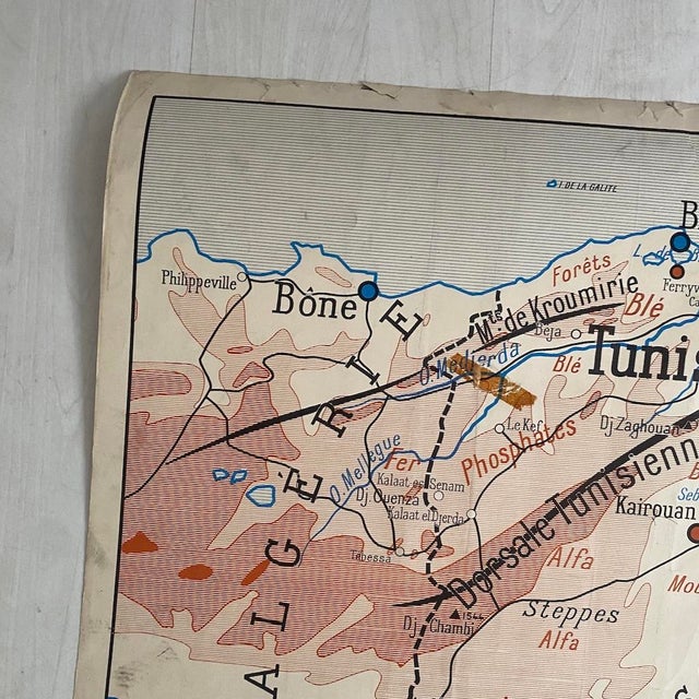 Vintage School Map, Tunisia / Algeria, 1950s For Sale - Image 9 of 14