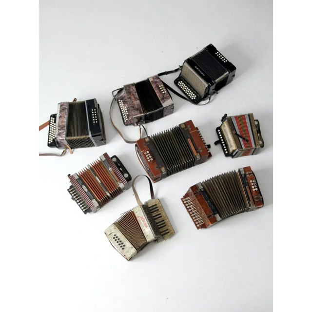 Rustic Vintage Accordion Collection - Set of 8 For Sale - Image 3 of 12
