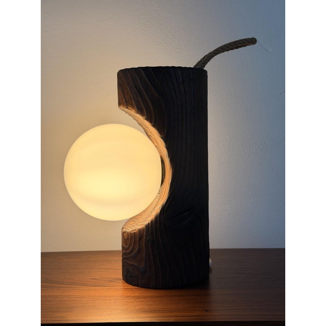 Brutalist Model 16 Wall Lamp in Pine and Opal Glass from Temde Leuchten, 1970s For Sale - Image 11 of 16
