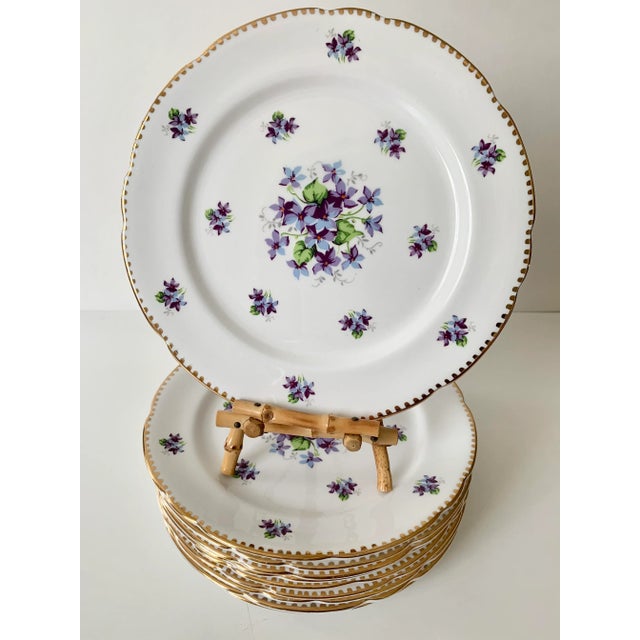 Royal Stafford Sweet Violets Gold Edge Salad Plates - Set of 10 For Sale - Image 11 of 11
