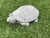Shabby Chic Cast Stone Turtle Garden Ornament For Sale - Image 3 of 10