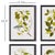 French Country Floral And Berry Study, Set Of 4 For Sale - Image 3 of 4