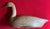 Antique Carved Wood & Paint Decorated Snow Goose Waterfowl Bird Decoy Circa 1920 For Sale - Image 14 of 18