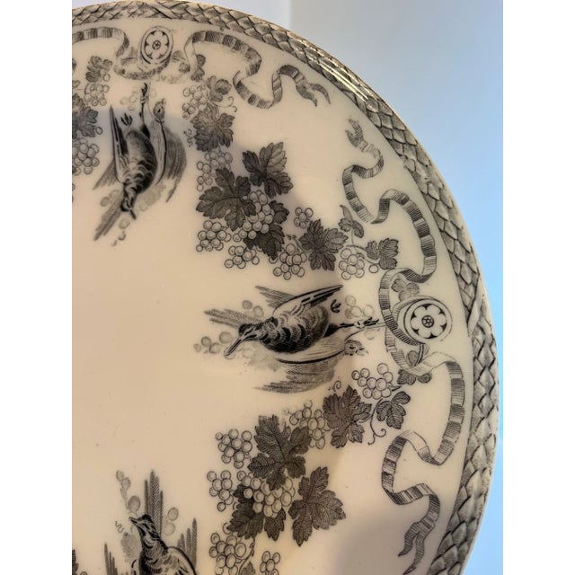 Early 19th Century Early 19th Century Wedgwood Plate For Sale - Image 5 of 7