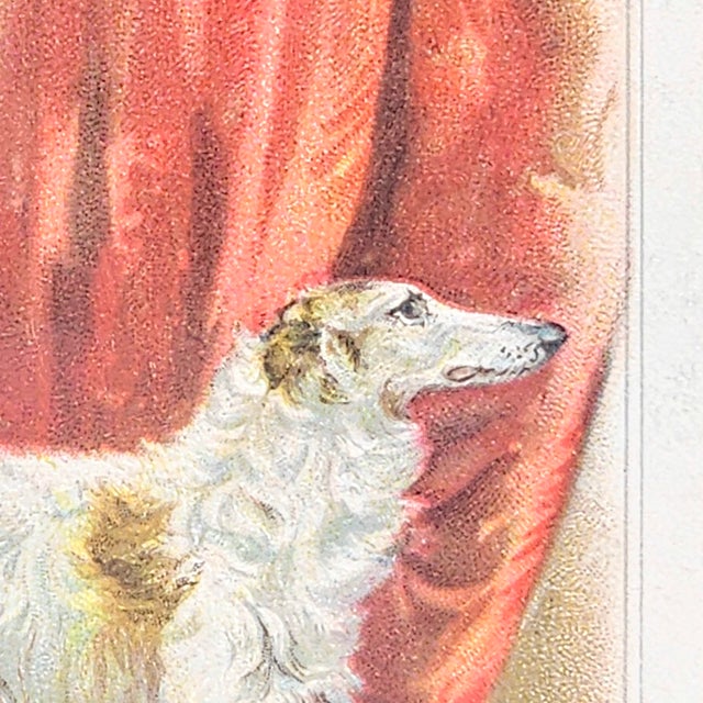 Victorian Chromolithograph of Russian Wolfhound, c.1890s For Sale - Image 4 of 11