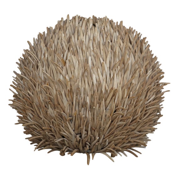 Sea Urchin Wooden Table Lamp, 1990s For Sale