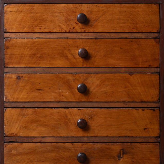 Wood Collectors Chest, 19th Century For Sale - Image 7 of 13