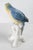 Early 20th Century Early 20th Century German Porcelain Macaw Parrot Figure by Karl Ens For Sale - Image 5 of 10