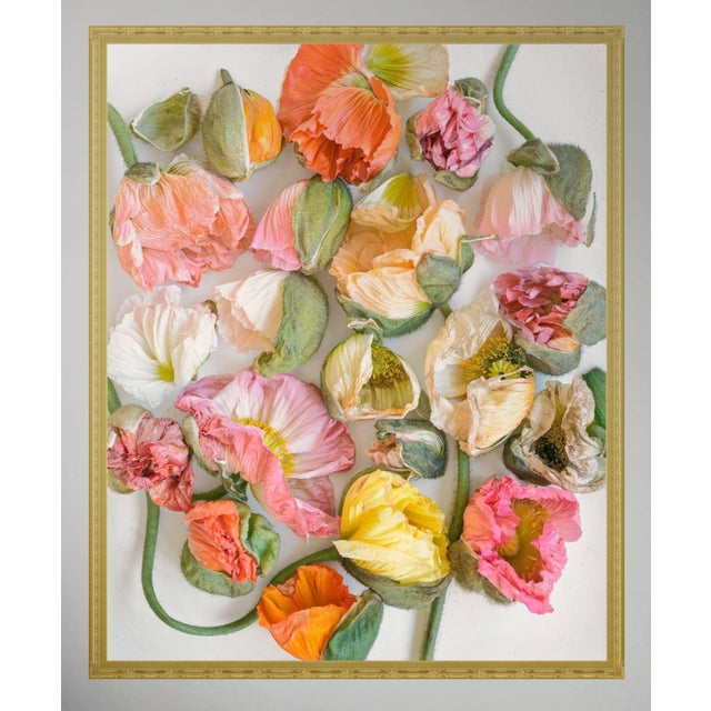 Not Yet Made - Made To Order Scattered Bunch Color Pastel Poppies For Sale - Image 5 of 6