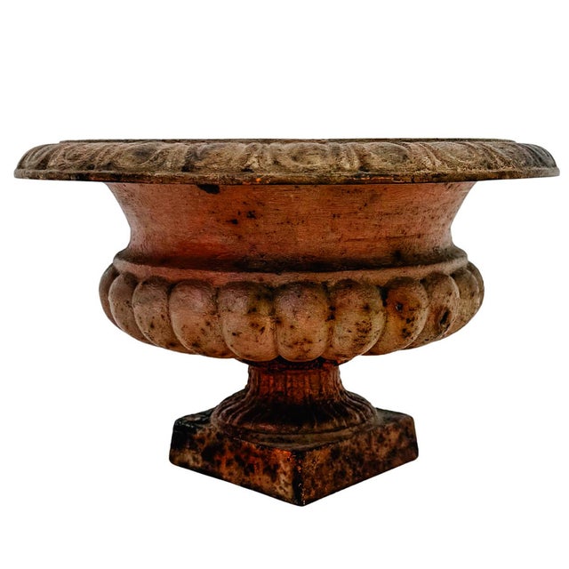 French Antique French Style Cast Iron Campana Urn Planters - A Pair For Sale - Image 3 of 11